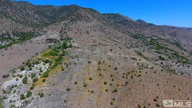 a view of a dry field with mountains in the background