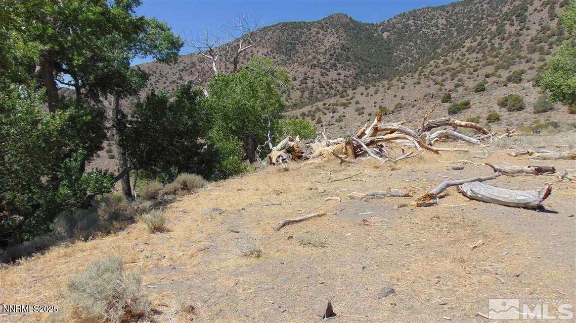 429110 Sutro Springs Road, Unit 429110 Dayton, NV 89403 - Photo 10 of 12 a view of a dry yard with trees