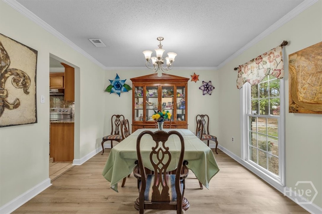 352 Oak Hampton Road Fleming, GA 31309 - Photo 10 of 56 Gallery Image 10