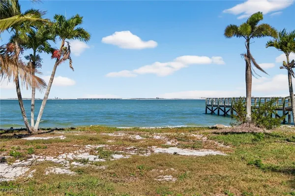 a view of a yard with palm trees
