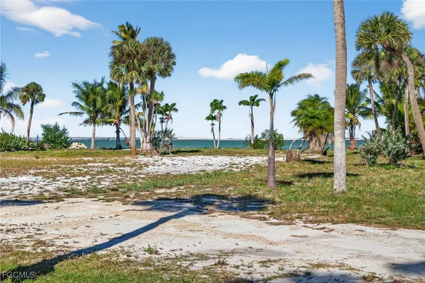 a view of a yard with palm trees