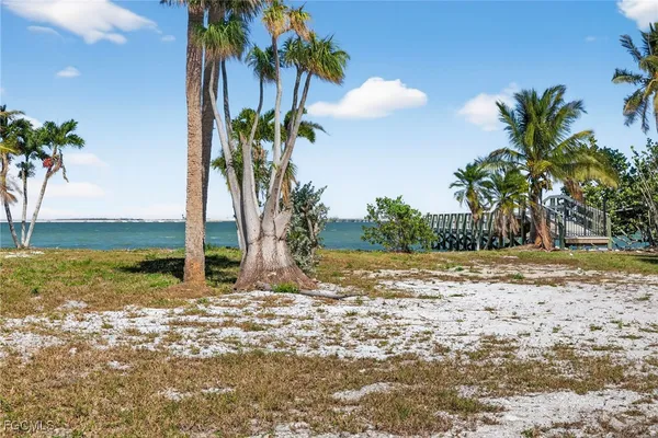 a view of a palm tree with a yard