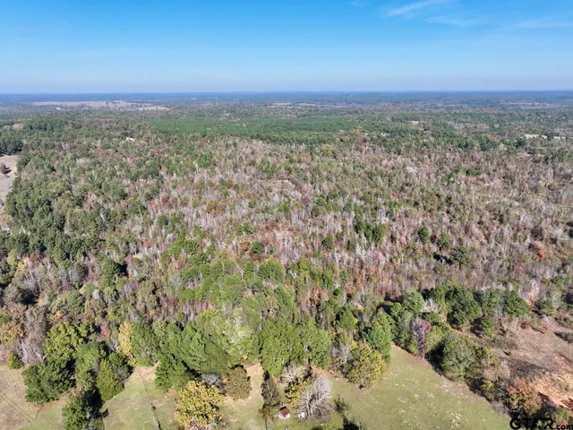 $476,700 | 21695 County Road 240, Tyler, TX 75705