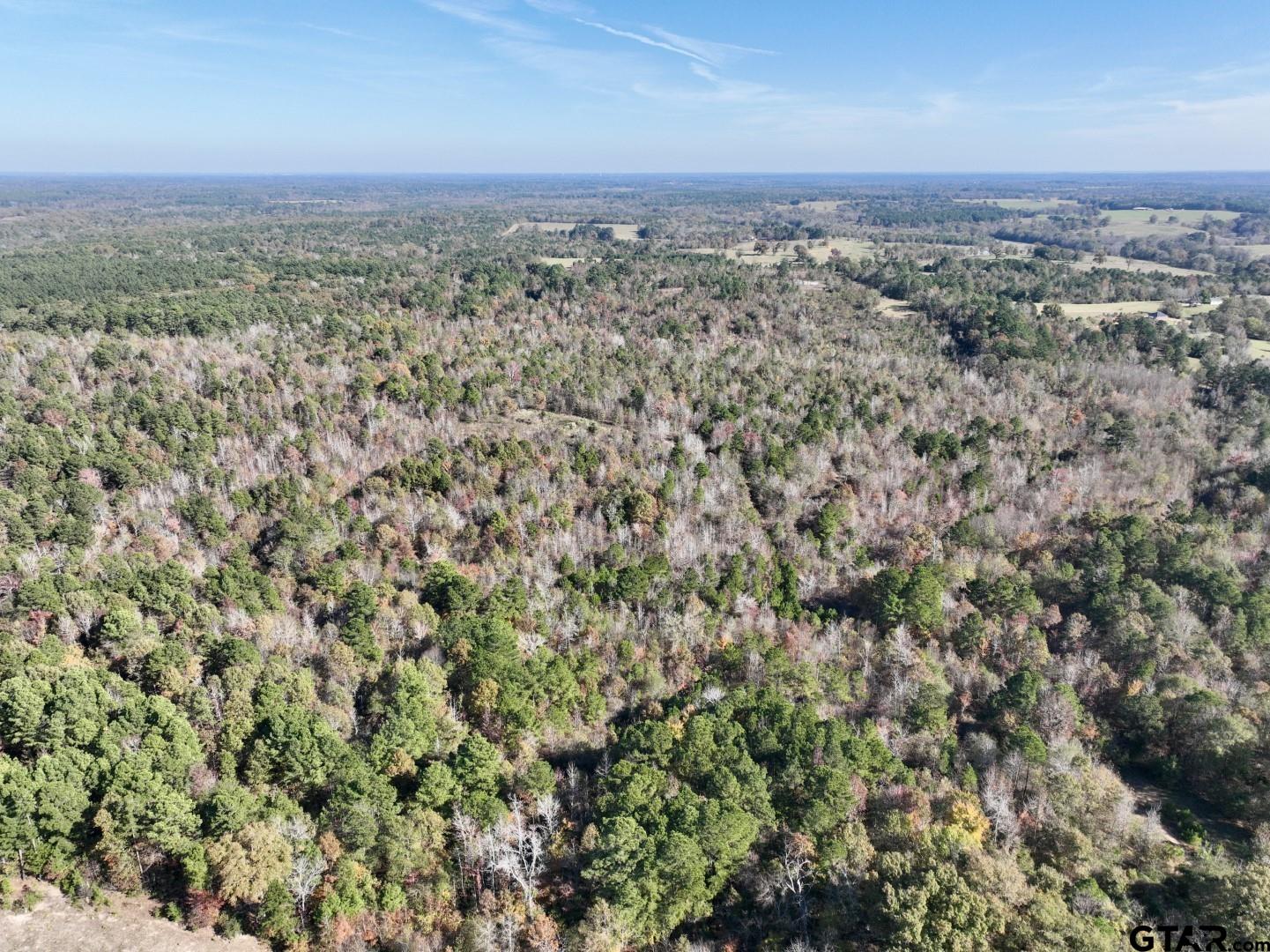 21695 County Road 240 Tyler, TX 75705 - Photo 3 of 6