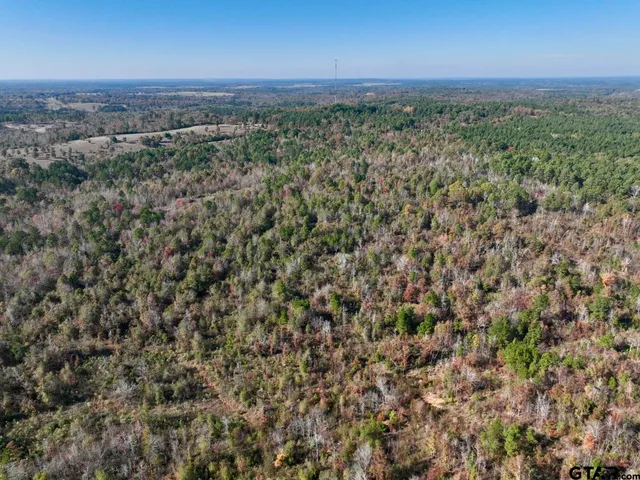 $476,700 | 21695 County Road 240, Tyler, TX 75705