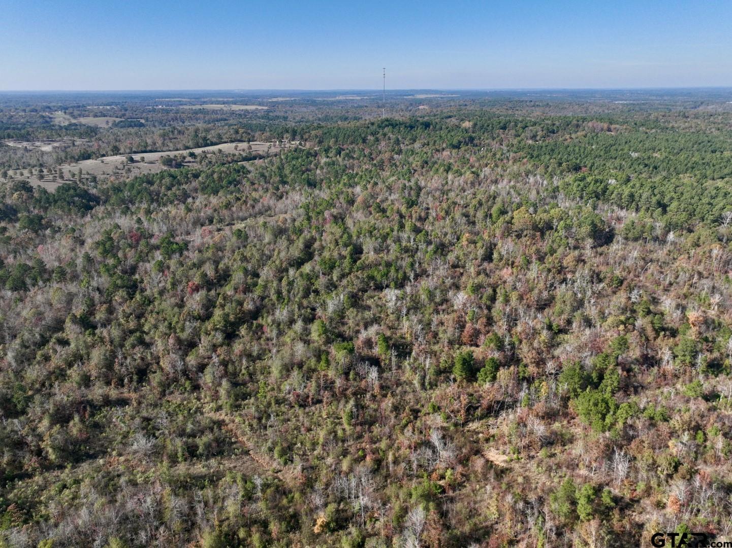 21695 County Road 240 Tyler, TX 75705 - Photo 4 of 6