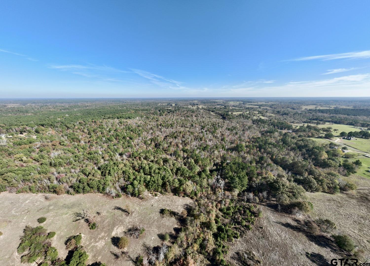 21695 County Road 240 Tyler, TX 75705 - Photo 5 of 6