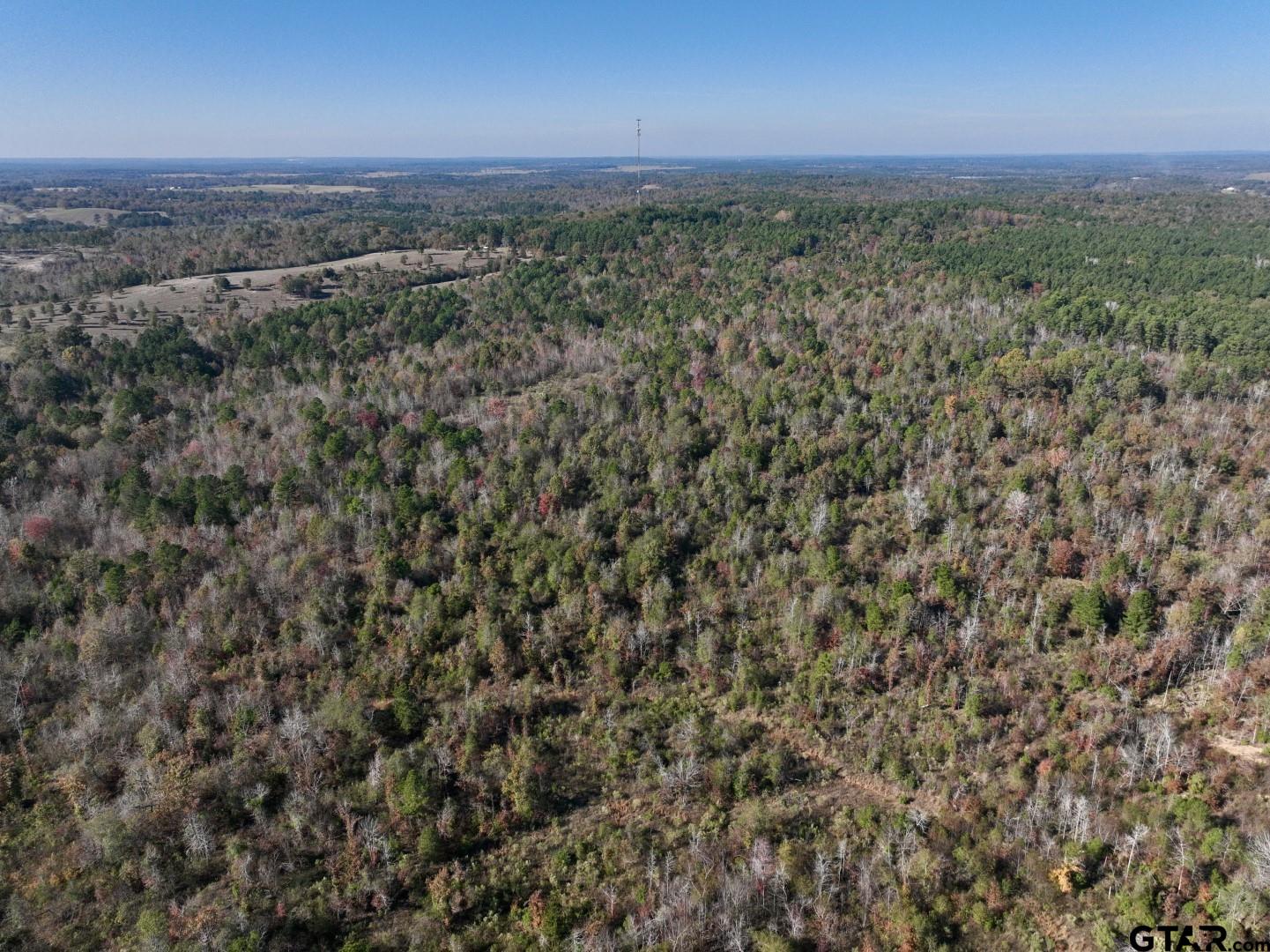 21695 County Road 240 Tyler, TX 75705 - Photo 6 of 6