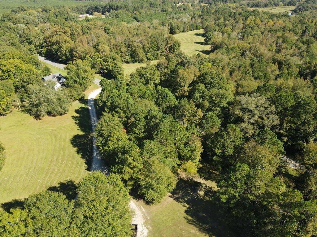 137 Easley Road Tignall, GA 30668 - Photo 3 of 26