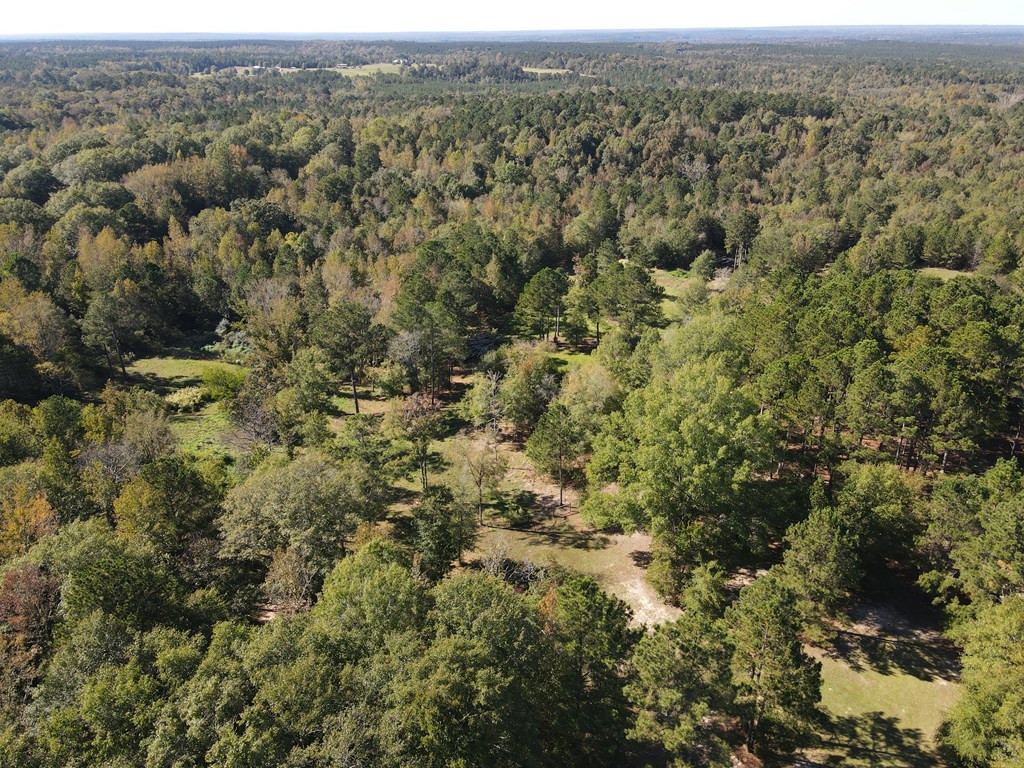 137 Easley Road Tignall, GA 30668 - Photo 4 of 26