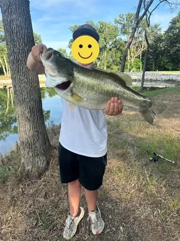 $830,000 | 3000 Tract 9, Elgin, TX 78621