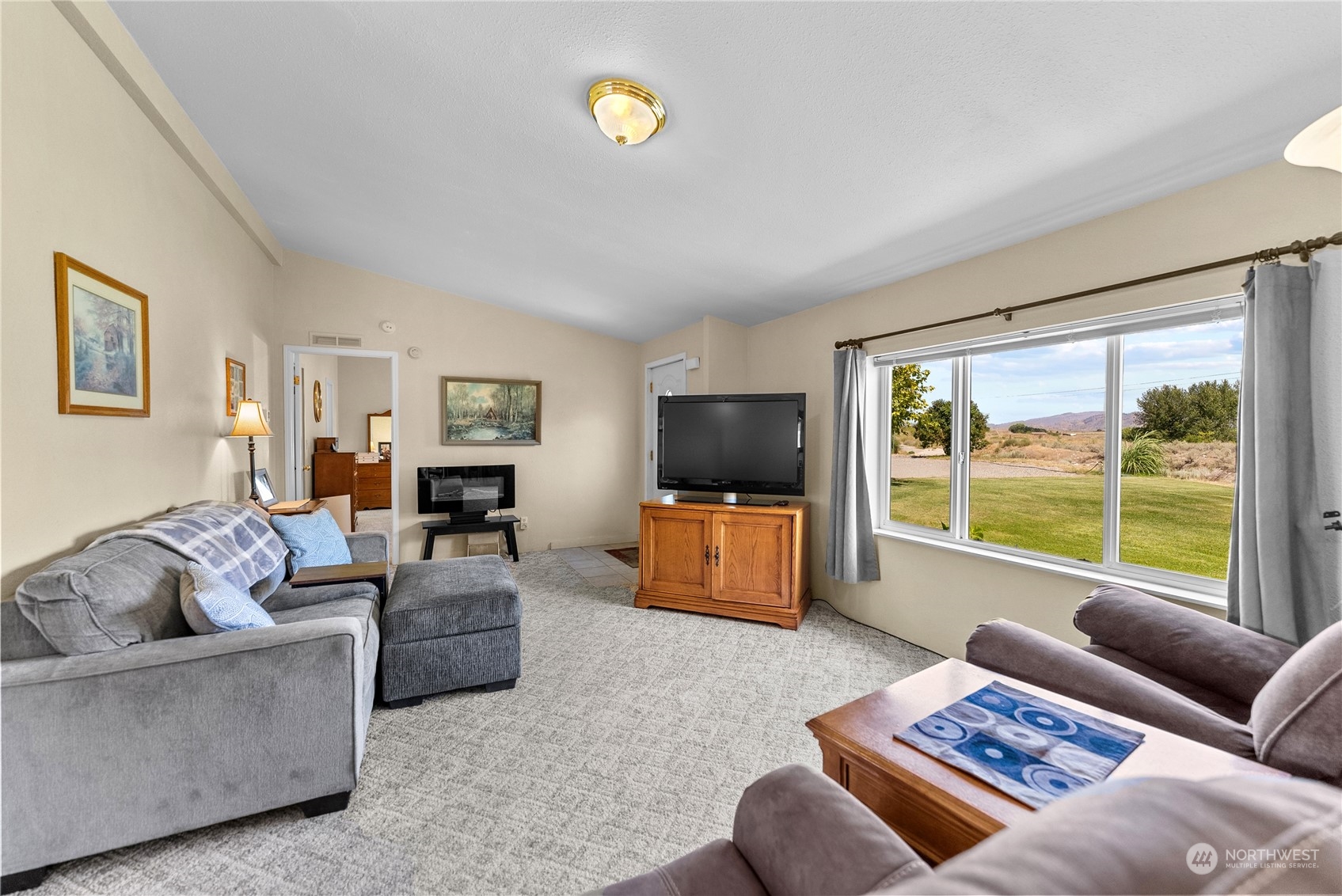 50 Soren Peterson Road Riverside, WA 98849 - Photo 7 of 37 a living room with furniture and a flat screen tv