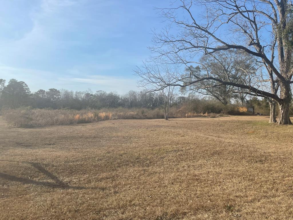 720 St Mary Road Cottonwood, AL 36320 - Photo 1 of 1