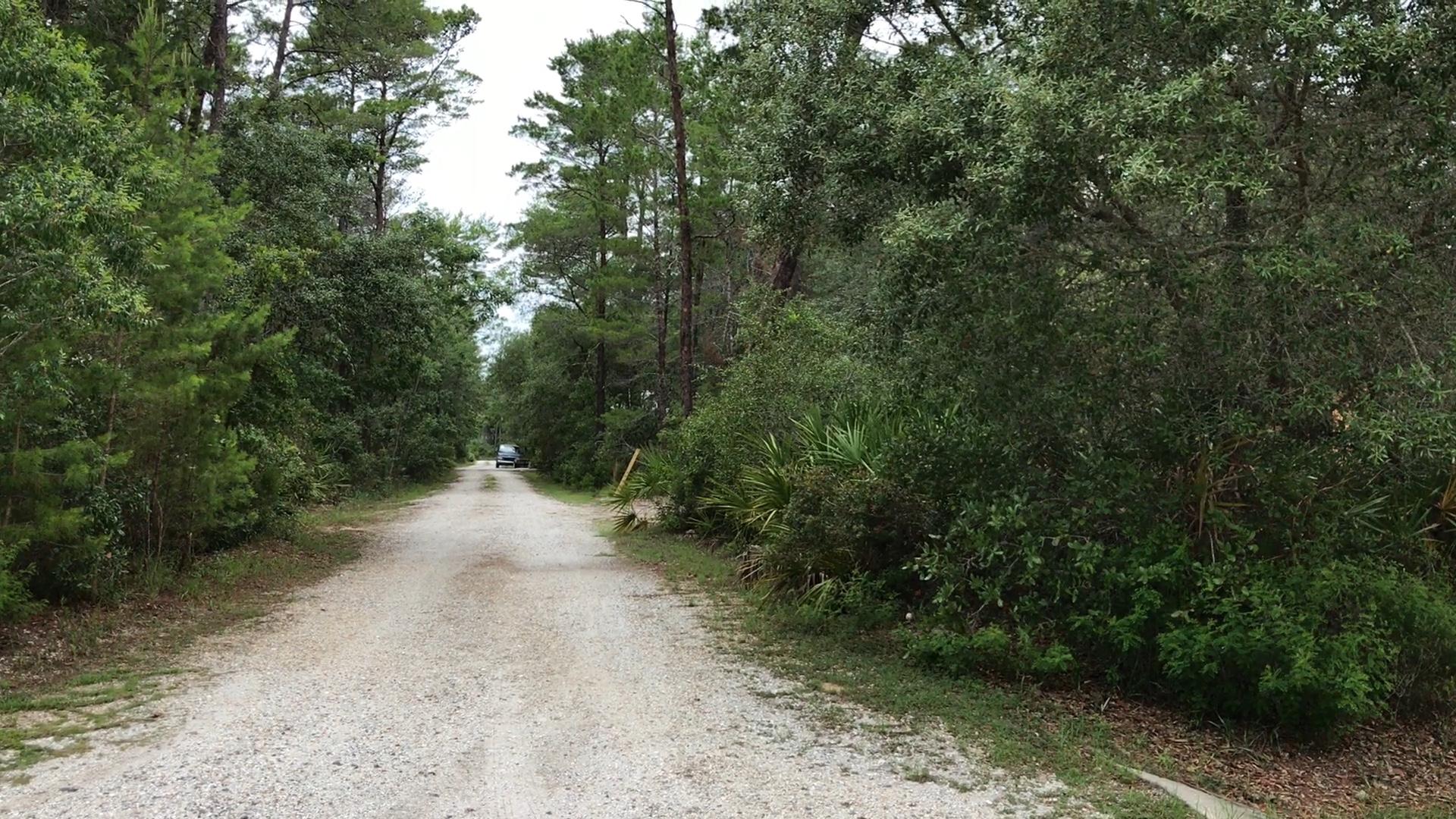 Lot 5-b Riker Avenue Santa Rosa Beach, FL 32459 - Photo 4 of 11 Gallery Image 4