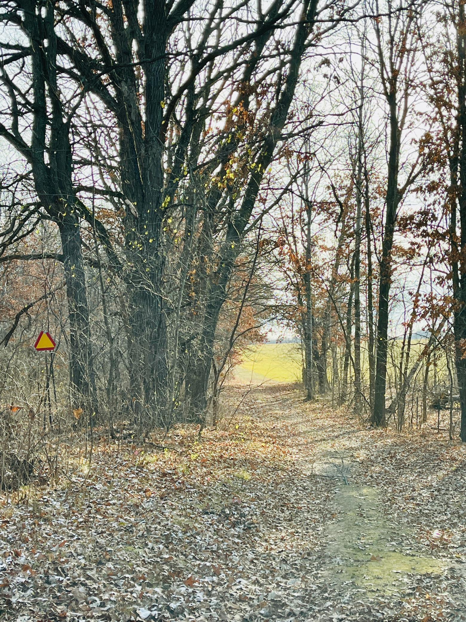 25246 33rd Avenue St. Cloud, MN 56301 - Photo 20 of 40