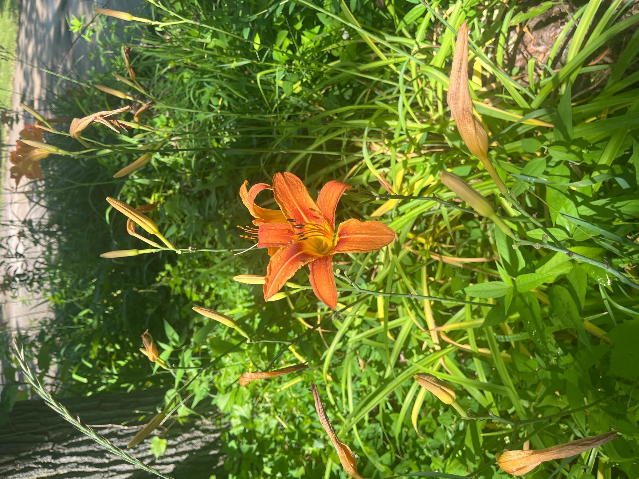 25246 33rd Avenue St. Cloud, MN 56301 - Photo 40 of 40