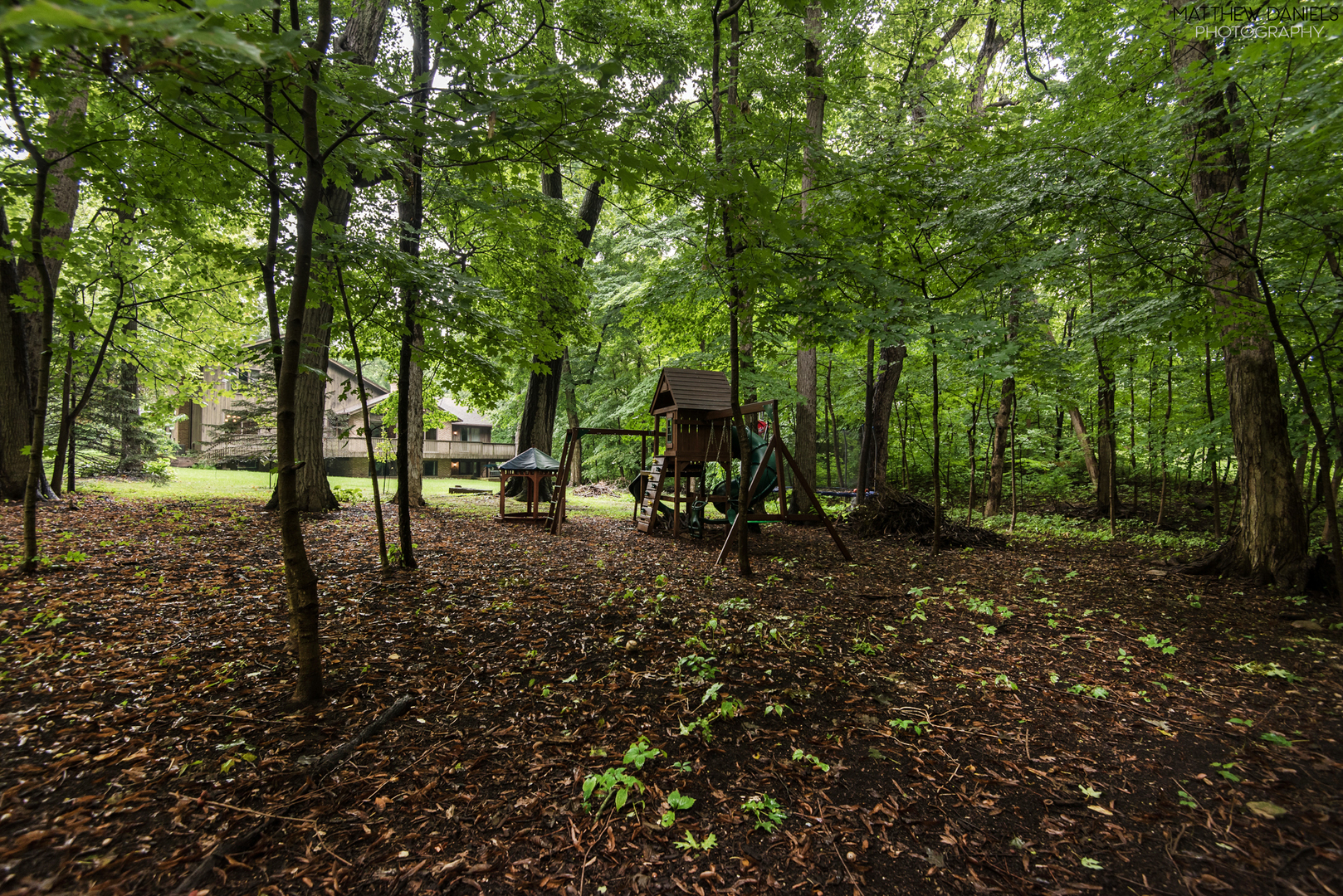584 Aberdeen Road Frankfort, IL 60423 - Photo 56 of 60 a view of a forest with trees in the background