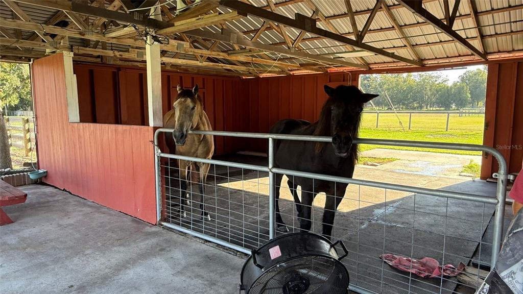 4918 Old Berkley Road Auburndale, FL 33823 - Photo 40 of 51