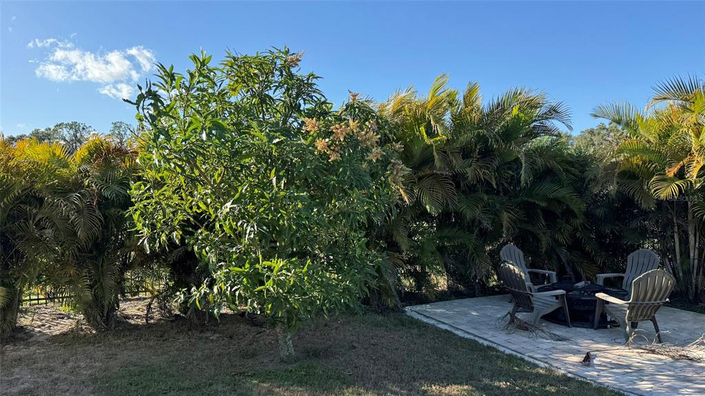 4918 Old Berkley Road Auburndale, FL 33823 - Photo 47 of 51