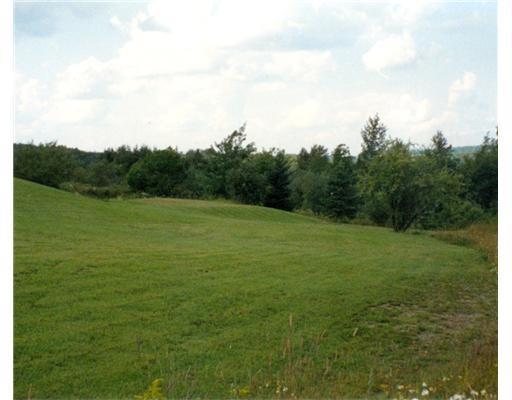 77 Mouse Island Road Perham, ME 04766 - Photo 3 of 12 Land. Lovely open and treed property