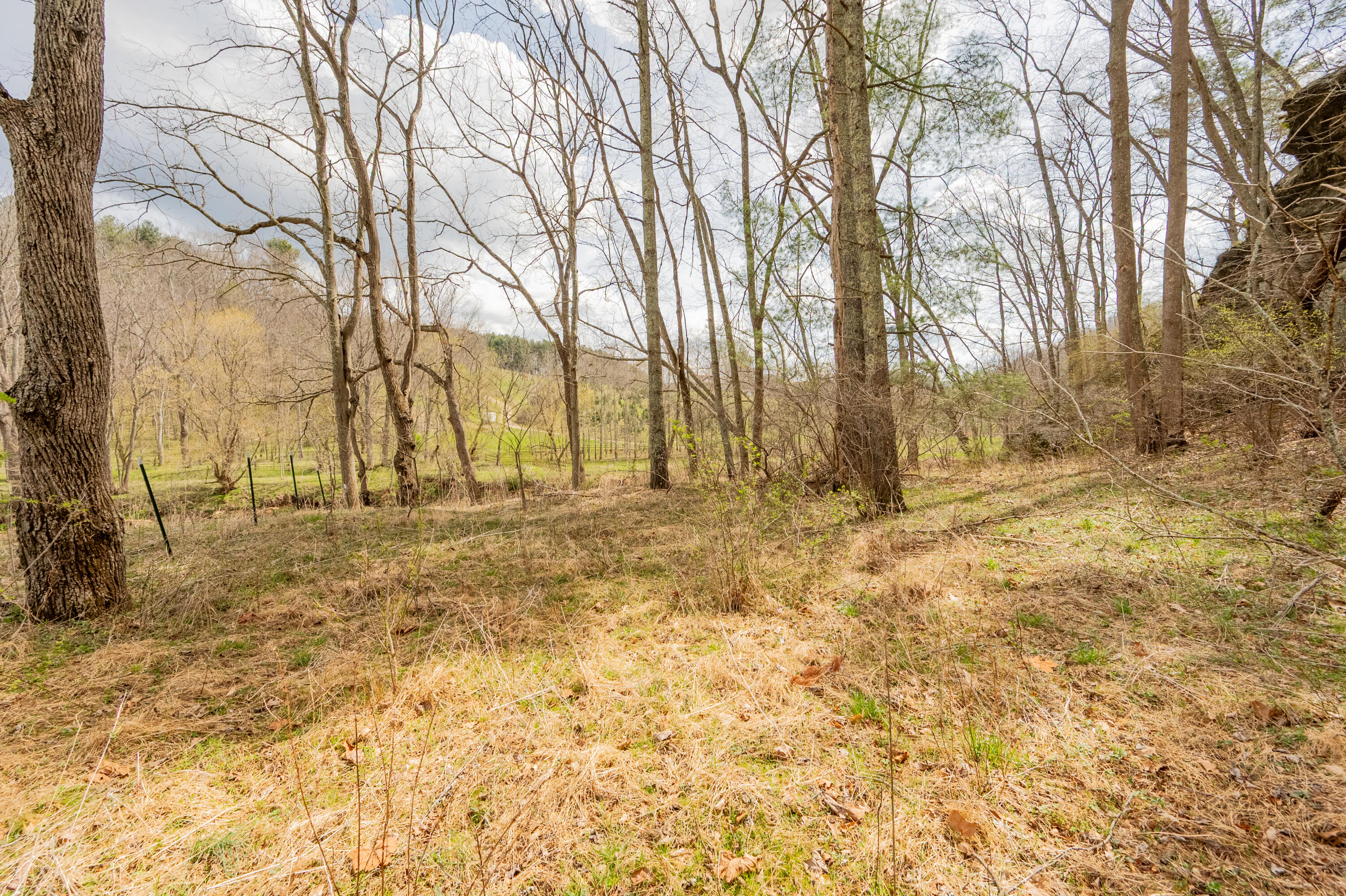 183 Pine Mountain Road Northeast Floyd, VA 24091 - Photo 48 of 54 floyd-82