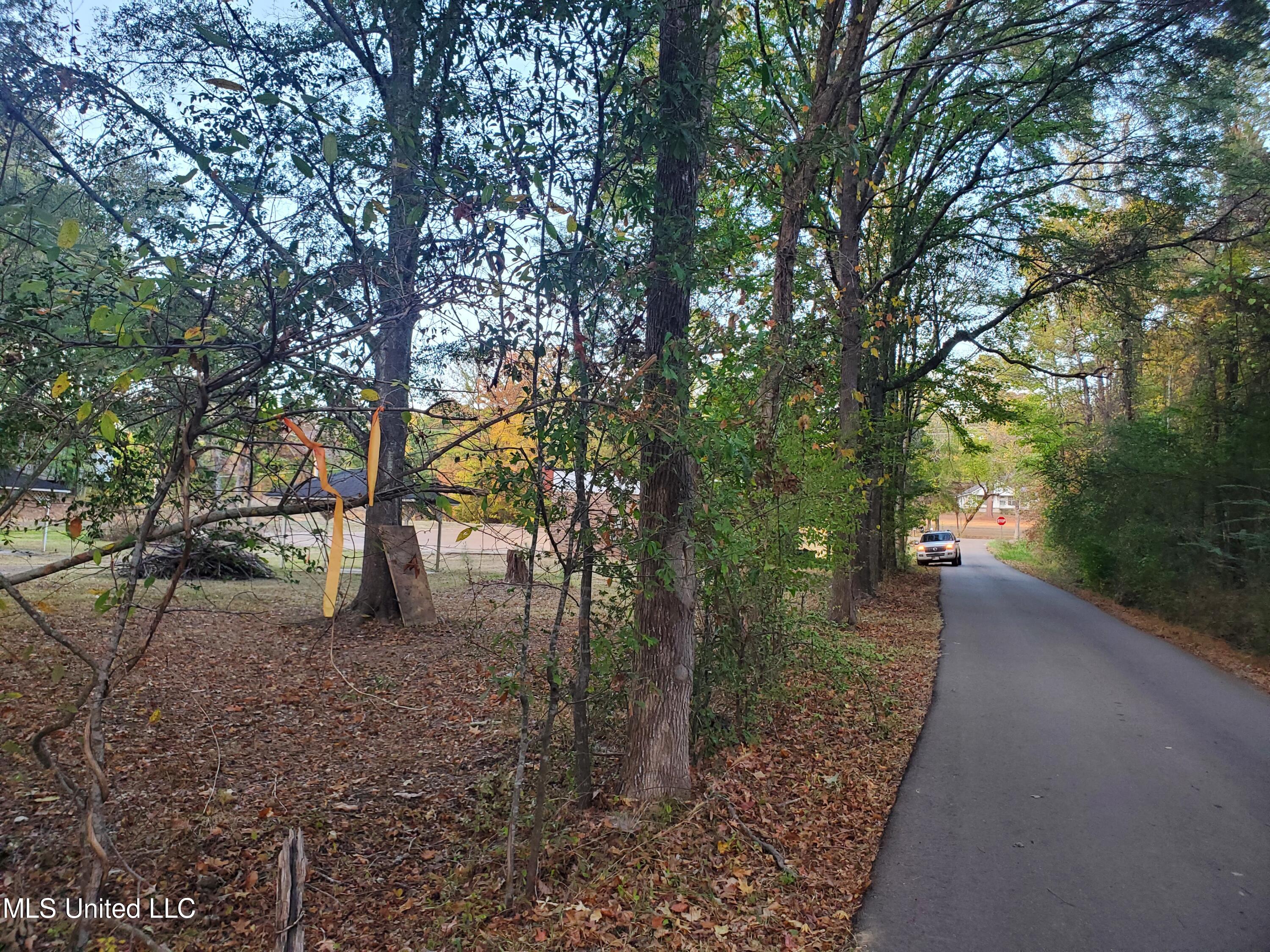 207 Lake Castle Road Ridgeland, MS 39110 - Photo 9 of 9 20231106_163105