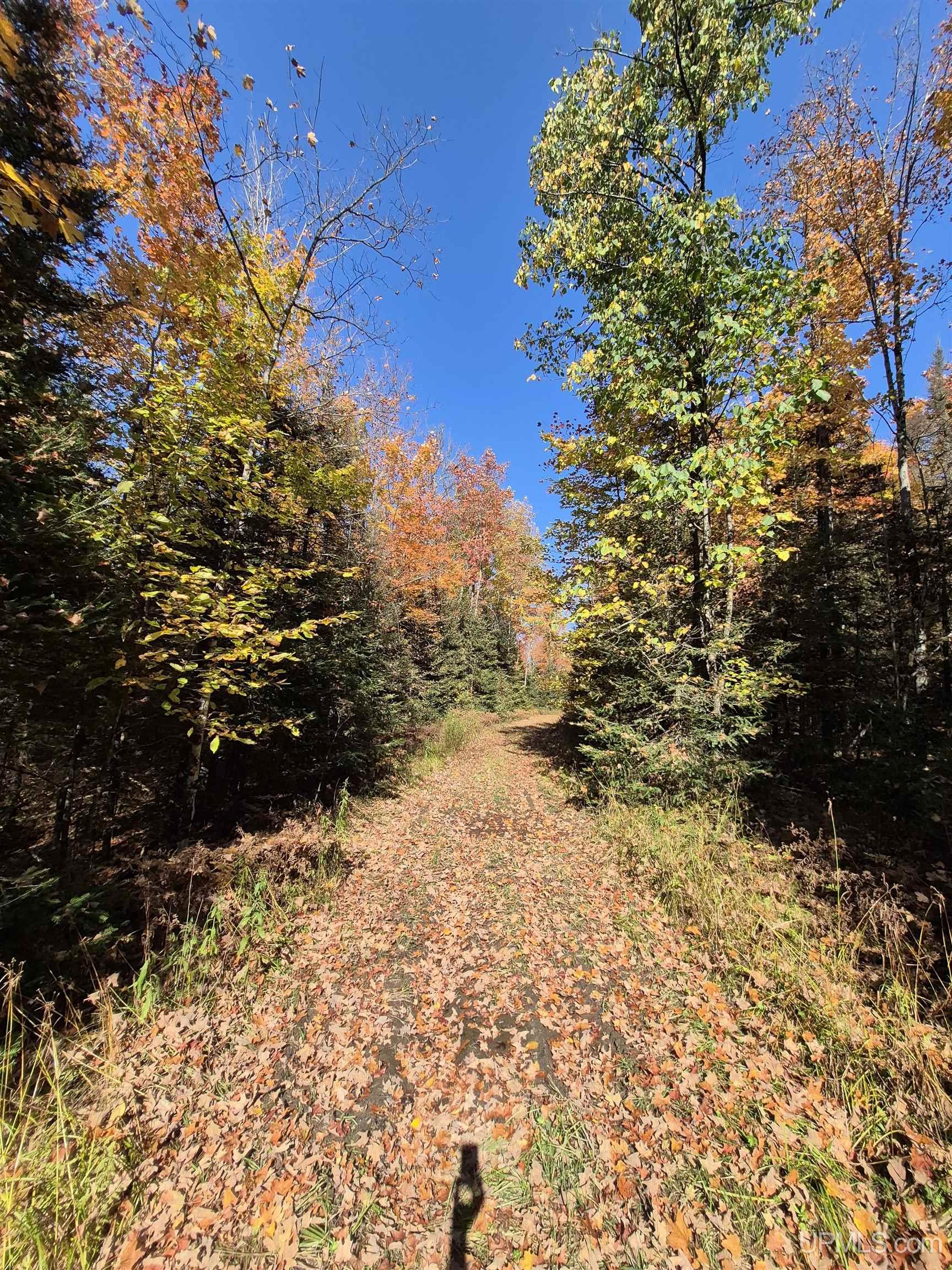 40-acres Mattson Road Felch, MI 49831 - Photo 25 of 45 Gallery Image 25