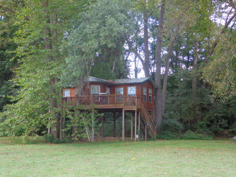 Tbd Stewart Creek Road Bruner, MO 65620 - Photo 1 of 1 DSC03578