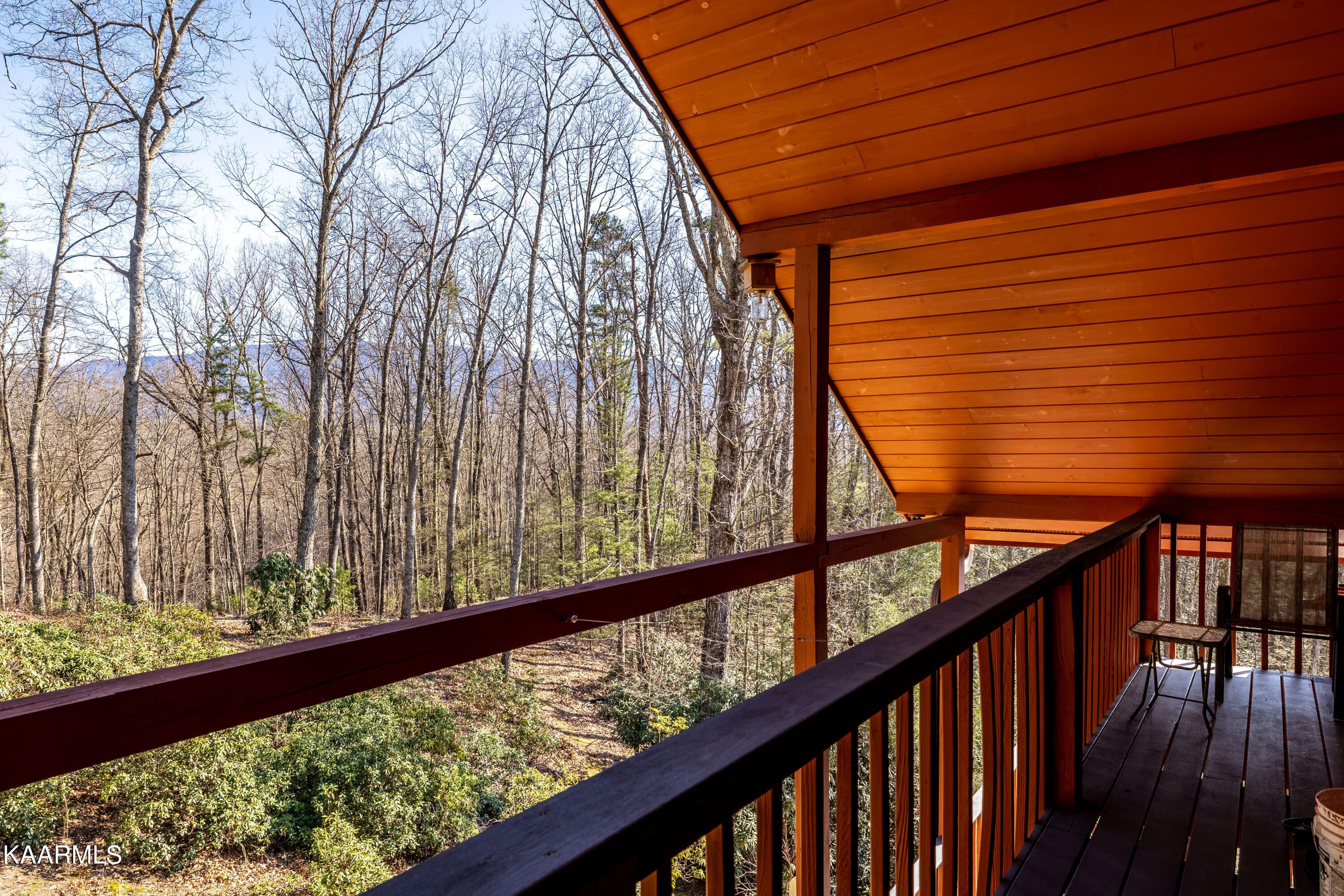 5202 Jones Cove Road, Unit 1 Cosby, TN 37722 - Photo 37 of 55 5202JonesCoverd-35