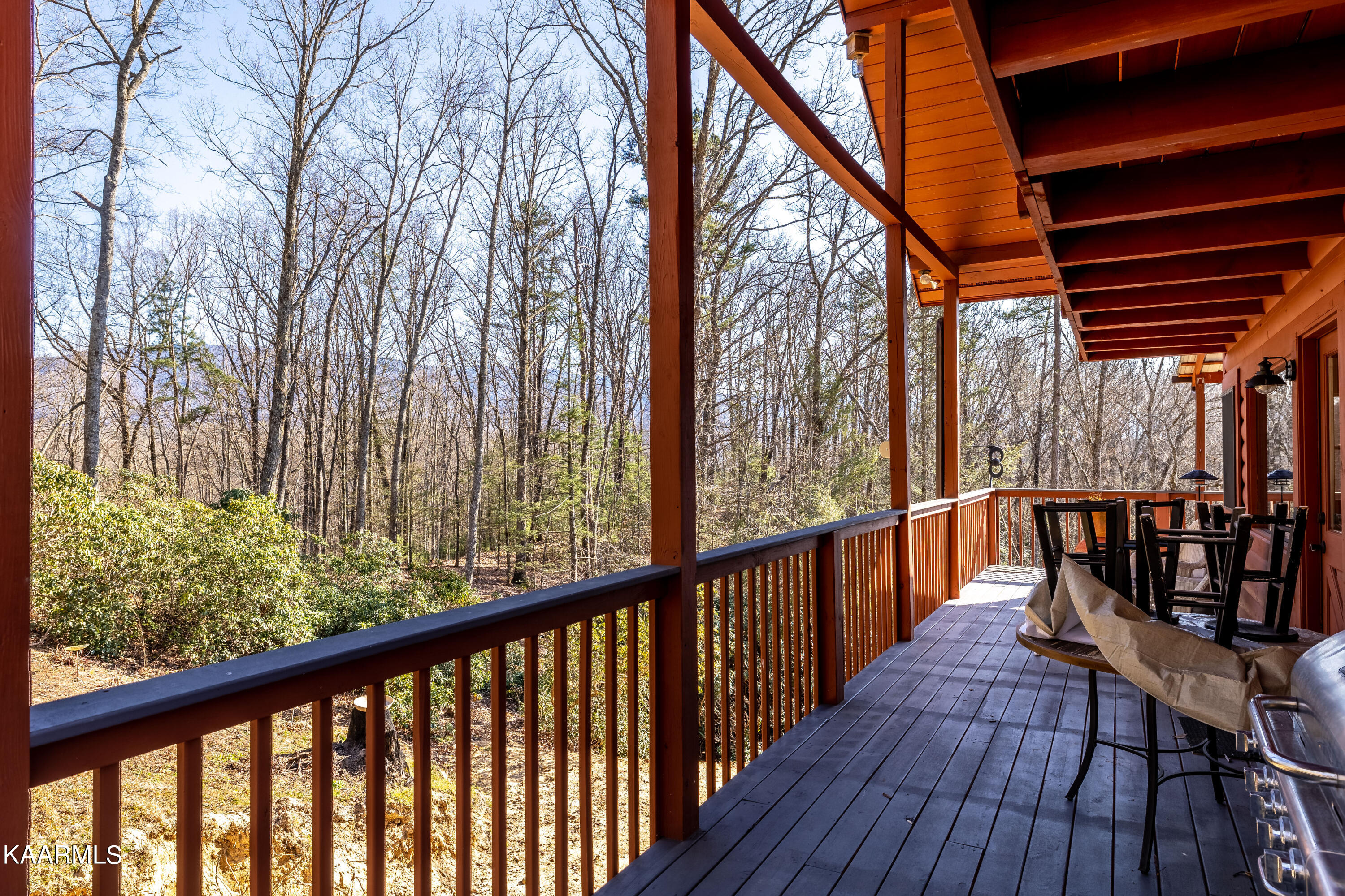 5202 Jones Cove Road, Unit 1 Cosby, TN 37722 - Photo 42 of 55 5202JonesCoverd-41
