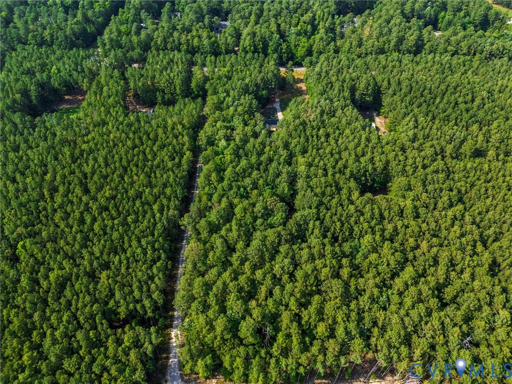 14175 Lebanon Road Disputanta, VA 23842 - Photo 58 of 60 Expansive forested landscape featuring dense tree