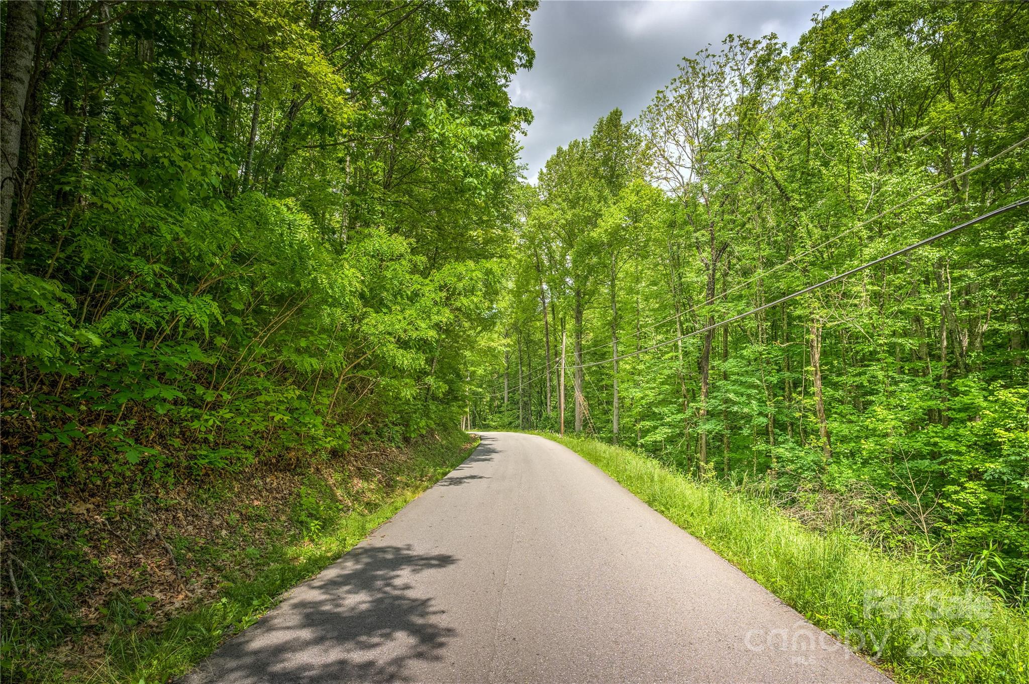 0 Old Country Road, Unit 7 Waynesville, NC 28786 - Photo 11 of 13 a view of a garden with a pathway