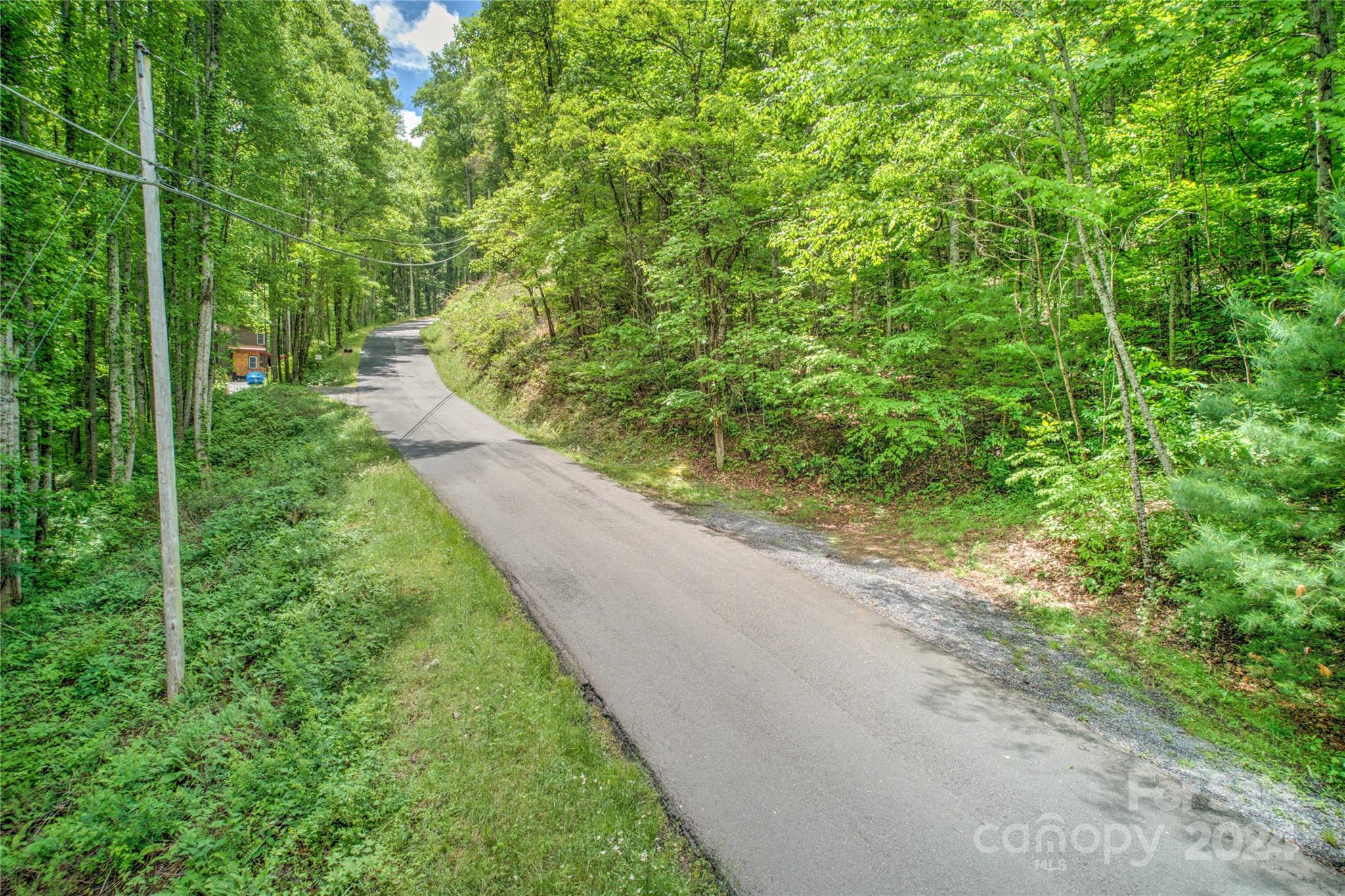 0 Old Country Road, Unit 7 Waynesville, NC 28786 - Photo 13 of 13 a view of a yard with plants and a small yard