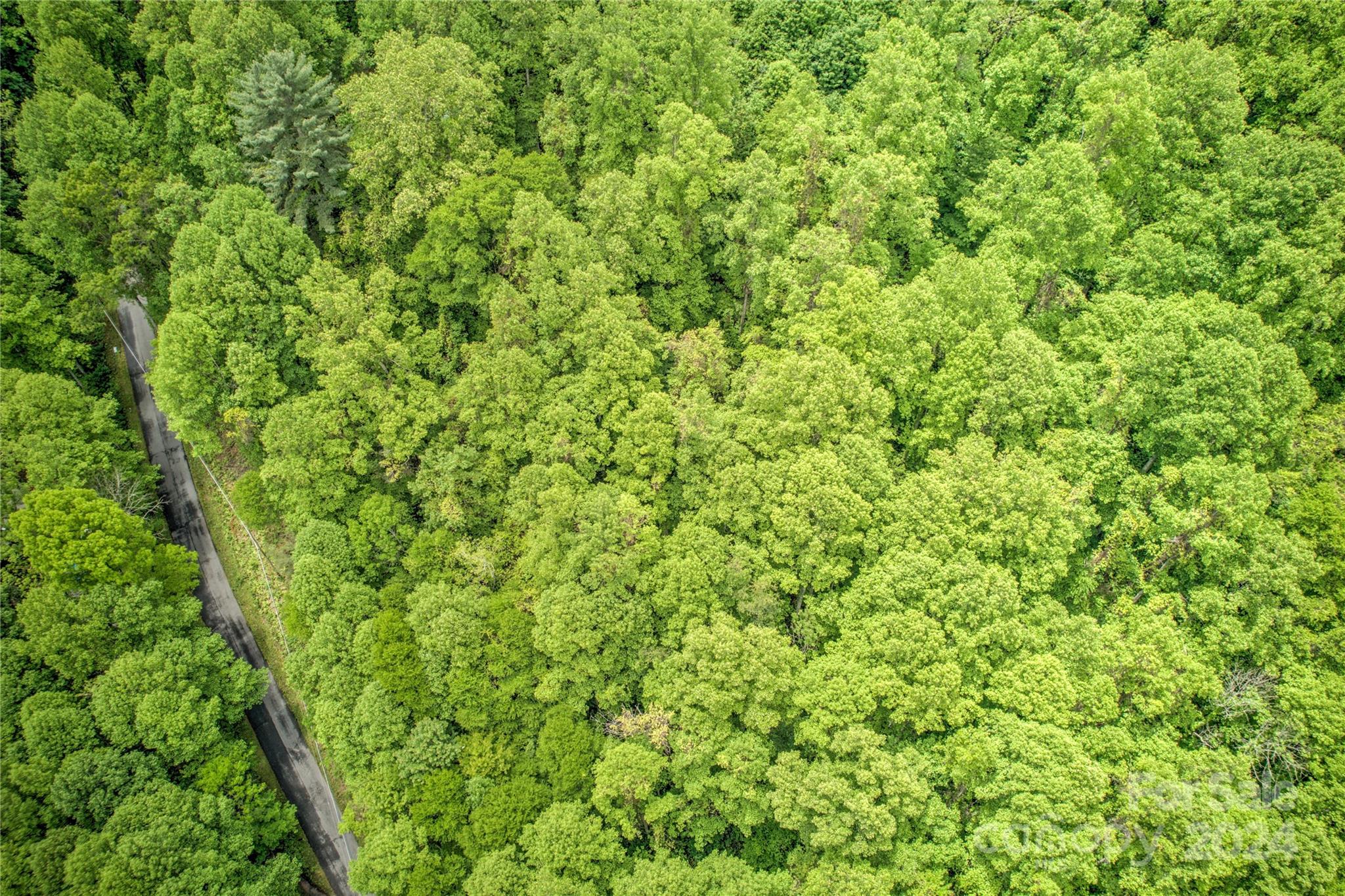 0 Old Country Road, Unit 7 Waynesville, NC 28786 - Photo 6 of 13 a view of a green field