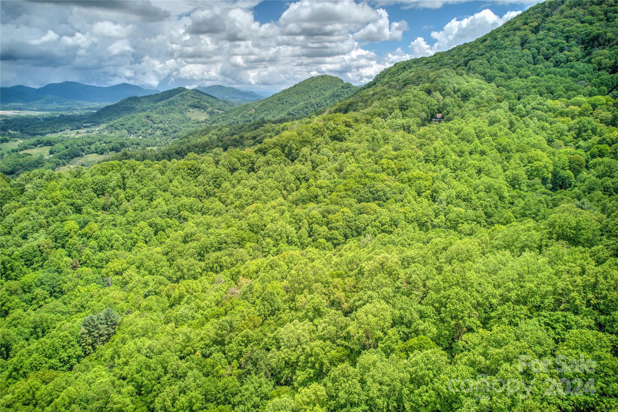 0 Old Country Road, Unit 7 Waynesville, NC 28786 - Photo 7 of 13 a view of a green field with lots of bushes