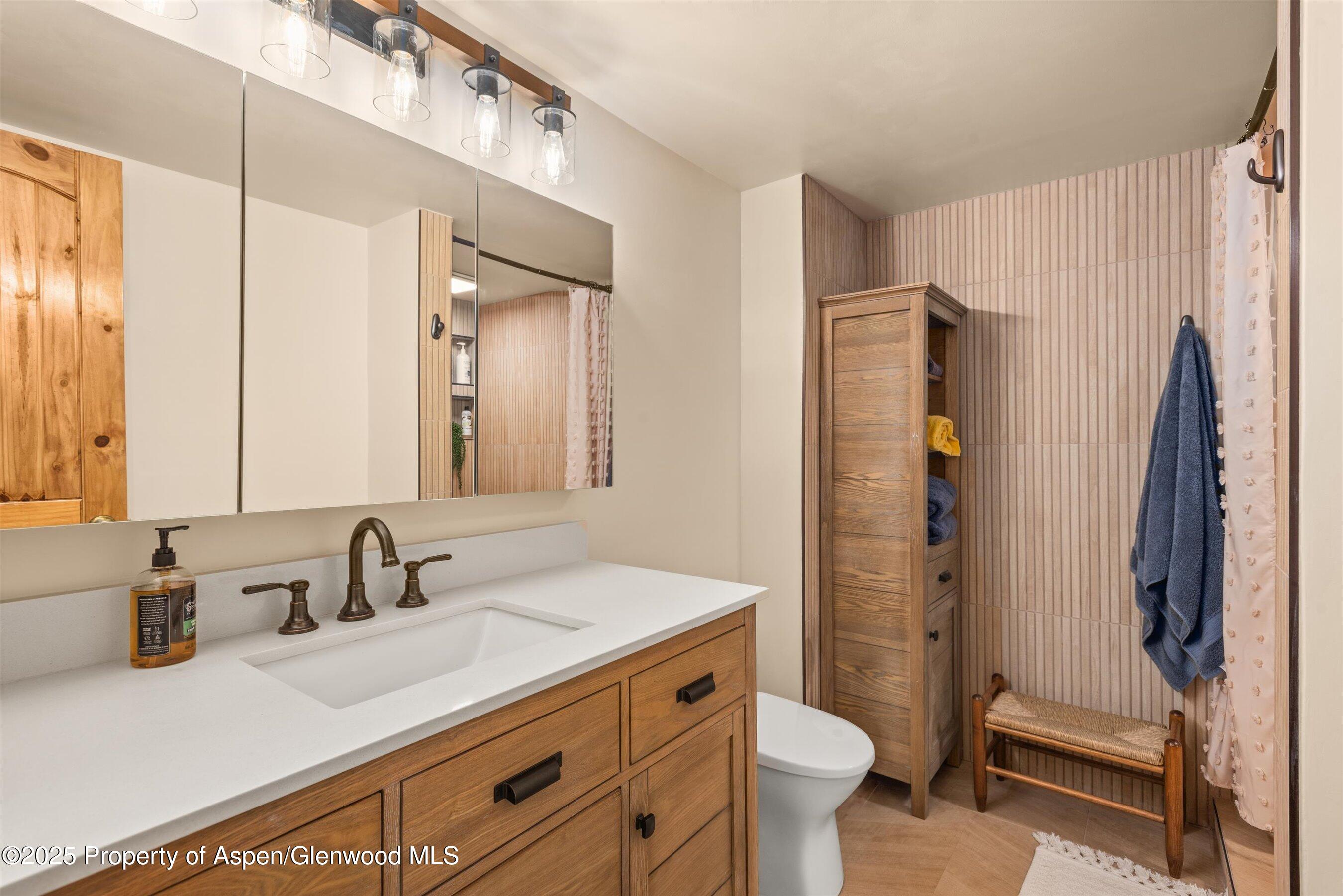 679 Pinon Drive Basalt, CO 81621 - Photo 41 of 52 Bathroom