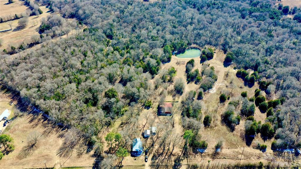 a view of a garden with a tree