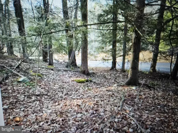 $38,000 | 5 Outlet Road, Harveys Lake, PA 18618