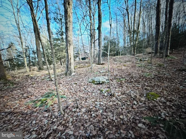 $38,000 | 5 Outlet Road, Harveys Lake, PA 18618
