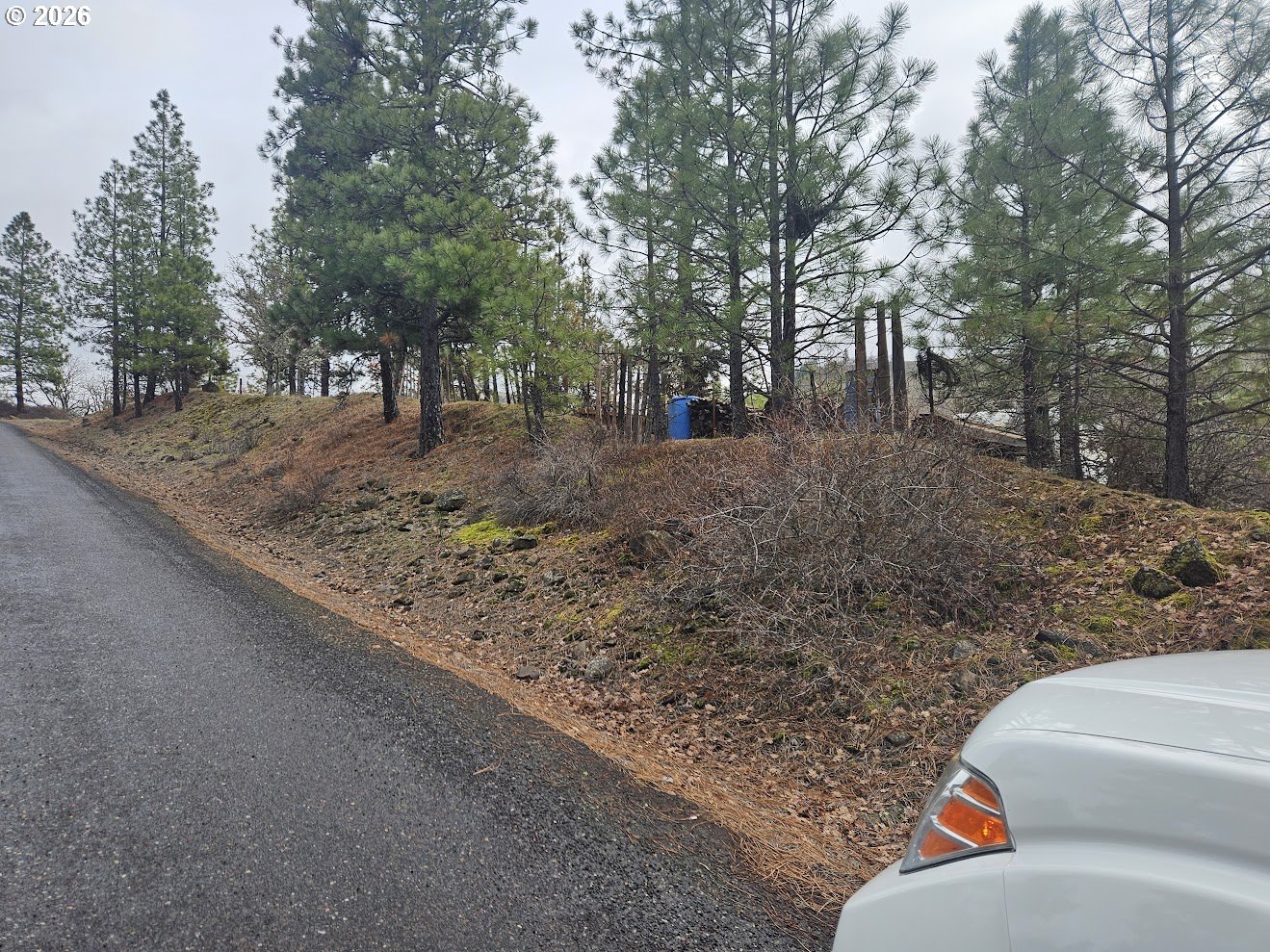 Wahkiacus Heights Road Klickitat, WA 98670 - Photo 11 of 42 a outdoor view with a trees