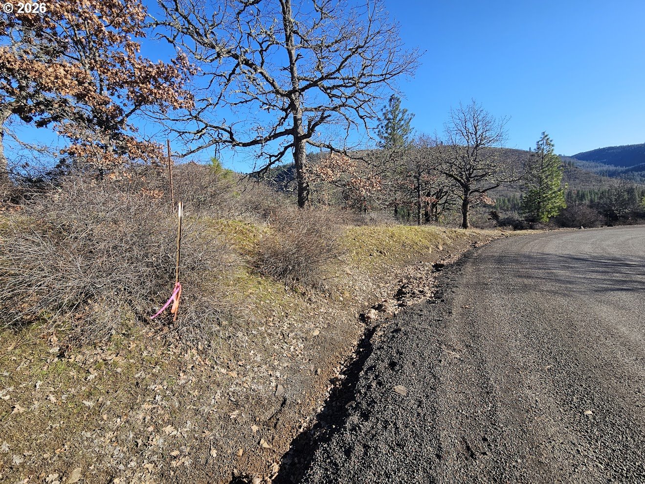 Wahkiacus Heights Road Klickitat, WA 98670 - Photo 12 of 42 a view of dirt yard with large trees
