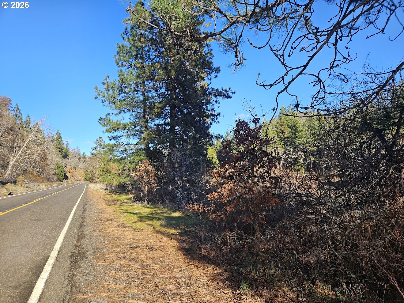 Wahkiacus Heights Road Klickitat, WA 98670 - Photo 13 of 42 a view of a yard with plants