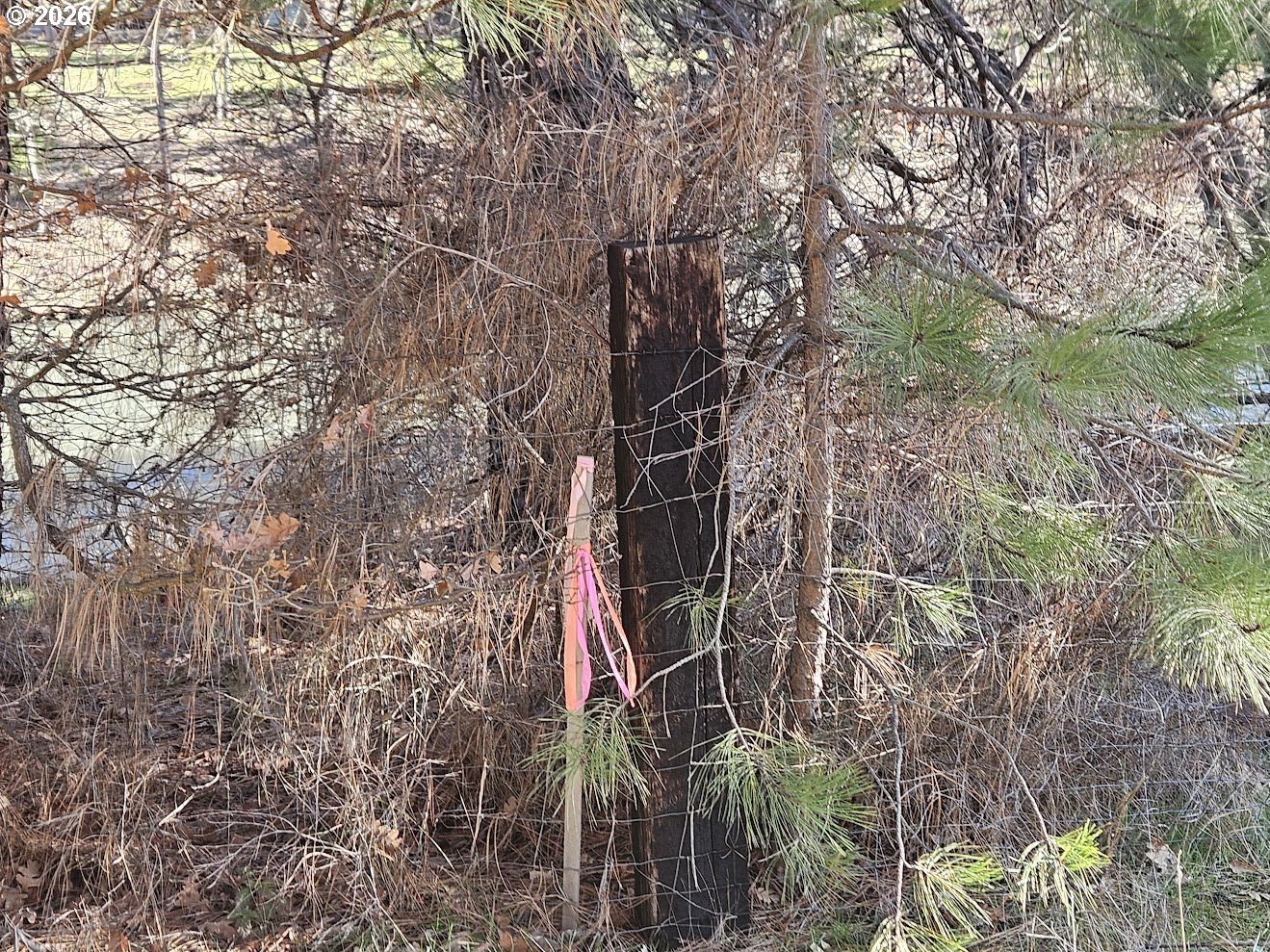 Wahkiacus Heights Road Klickitat, WA 98670 - Photo 14 of 42 a backyard of a house