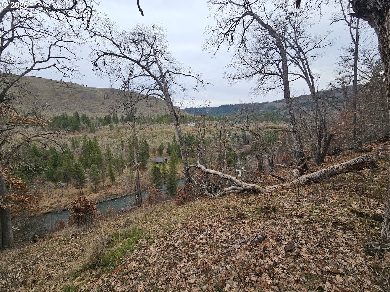 Wahkiacus Heights Road Klickitat, WA 98670 - Photo 17 of 42 a view of a forest filled with trees