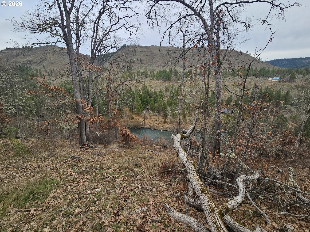 Wahkiacus Heights Road Klickitat, WA 98670 - Photo 18 of 42 a view of a forest with a mountain