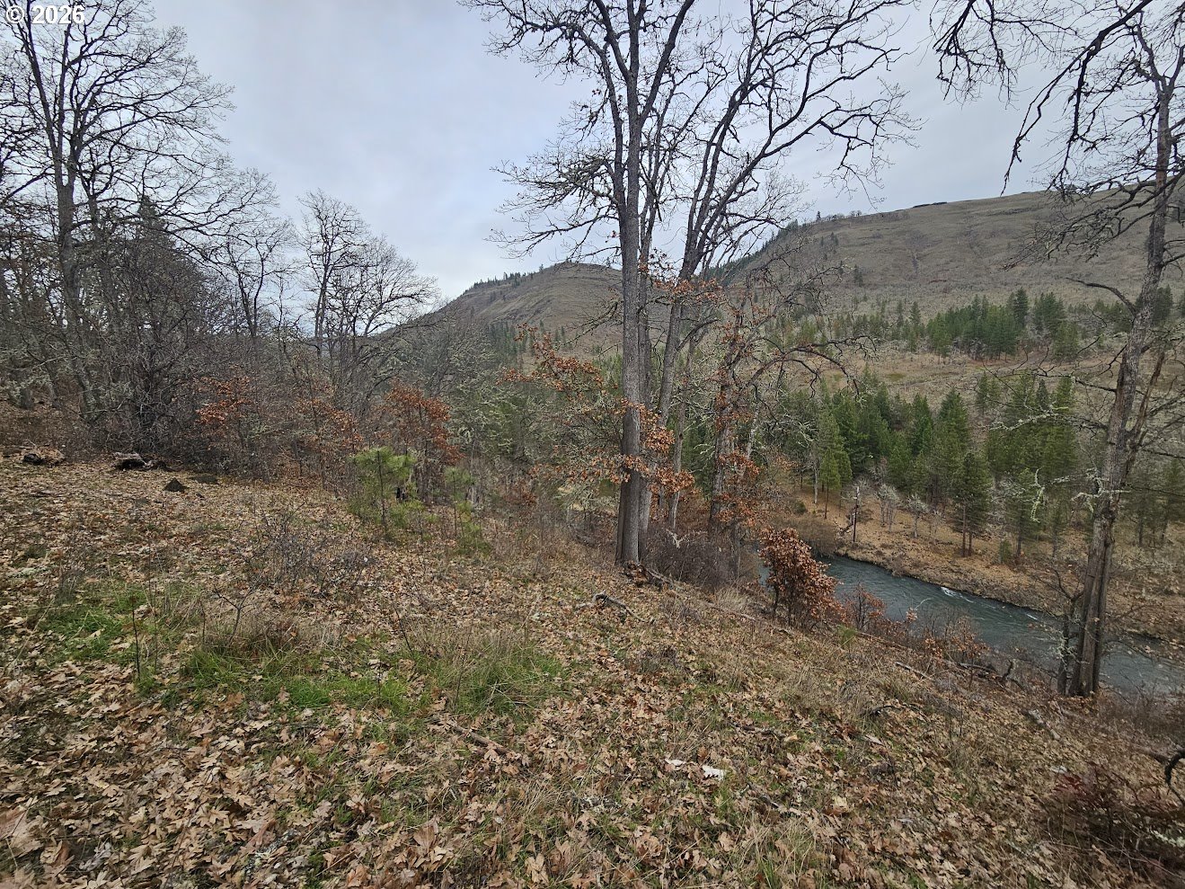 Wahkiacus Heights Road Klickitat, WA 98670 - Photo 19 of 42 a view of a forest with trees in the background