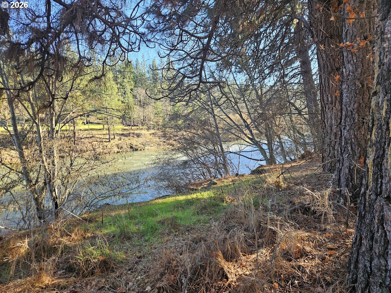 Wahkiacus Heights Road Klickitat, WA 98670 - Photo 2 of 42 a view of yard along with trees