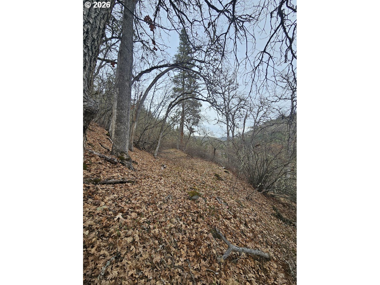 Wahkiacus Heights Road Klickitat, WA 98670 - Photo 23 of 42 a backyard of a house