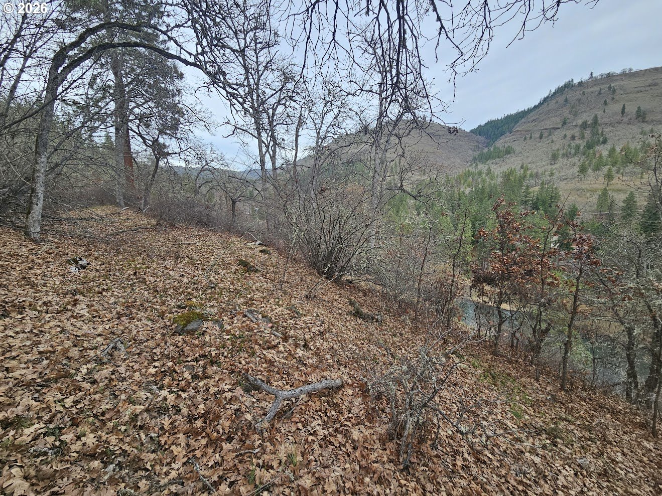 Wahkiacus Heights Road Klickitat, WA 98670 - Photo 24 of 42 a view of a yard with trees