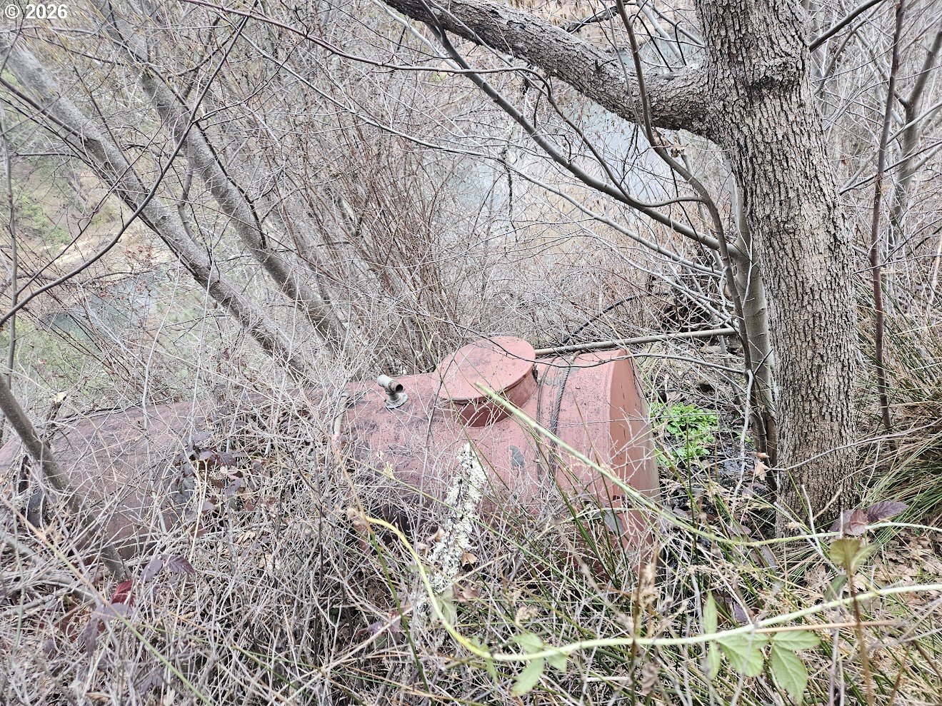 Wahkiacus Heights Road Klickitat, WA 98670 - Photo 26 of 42 a view of a yard with plants and a bench